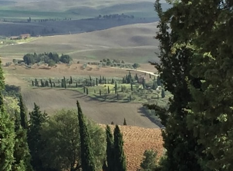 Italy-farmfields
