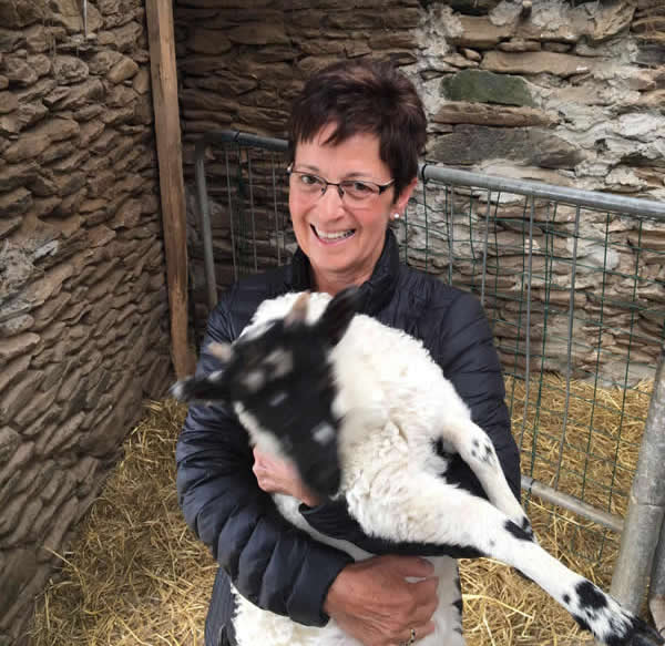 Ireland-MaryTDingle-goat