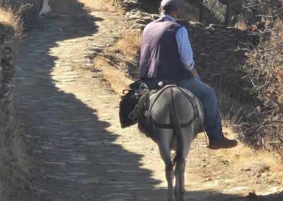 Greece-Donkey and Rider